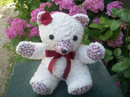 ours doudou 